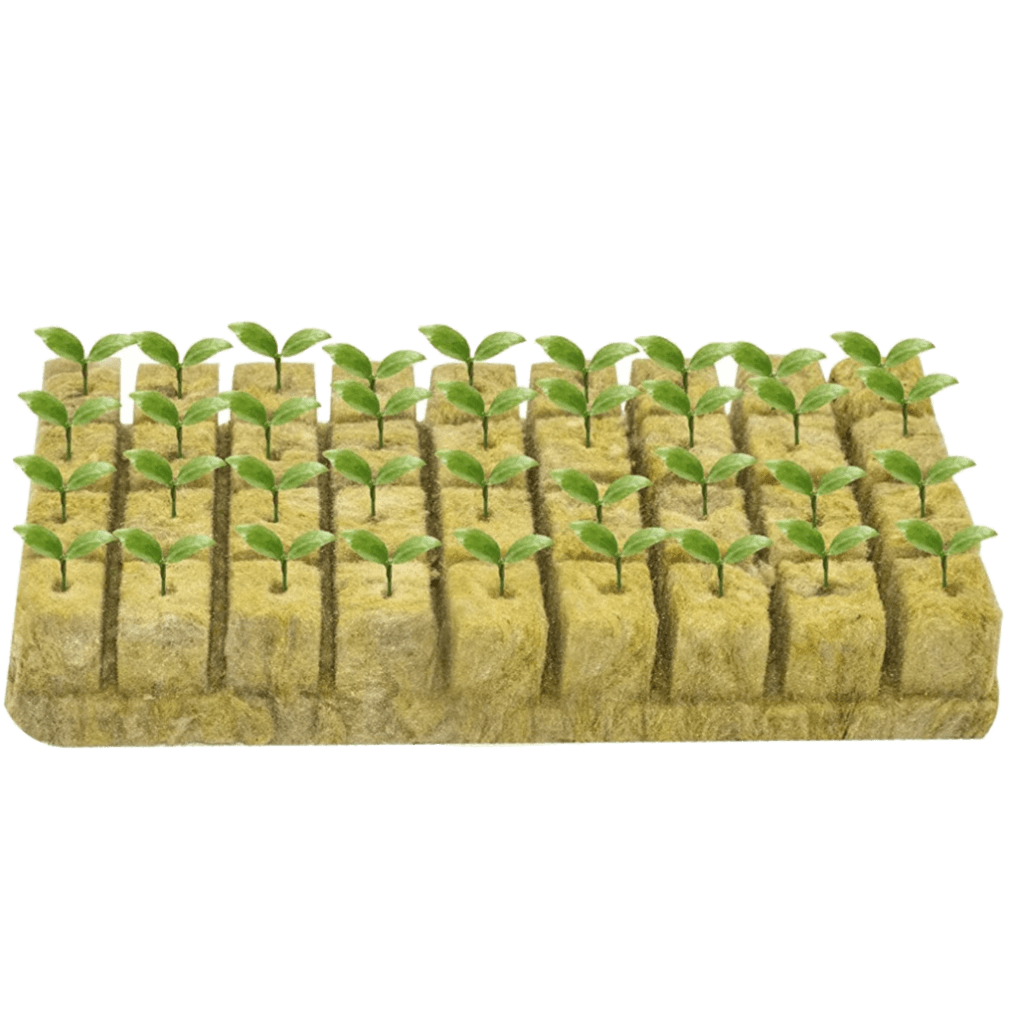 پشم سنگ هیدروپونیک