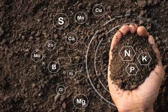 تفاوت بین کودهای معدنی و کودهای آلی